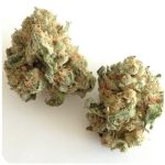 Шишки "White Widow"  (Белая вдова)  Гидропоника -  Бошка VHQ в Будённовске