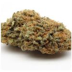 Шишки AK47  (Гидропоника, Бошка) VHQ в Будённовске