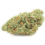 Шишки OG Kush  (Гидропоника, бошки) VHQ в Будённовске